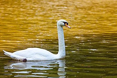 《铁拳8》制作人谈无障碍选项：经过多年开发实现