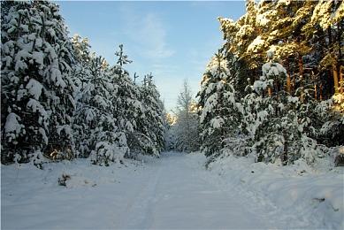G胖：我的PC部件来自不同厂商 这就是为何PC是最好的