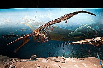 《龙腾世纪4：恐狼》分享文献内容 前代杂志回归